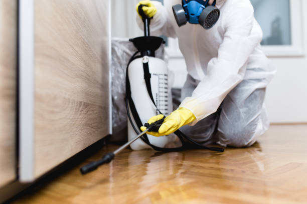 Best Wasp Removal Services  in Theodore, AL