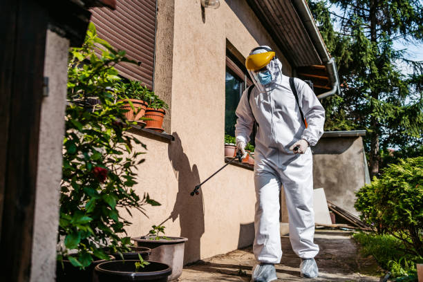 Best Pest Removal Services  in Theodore, AL