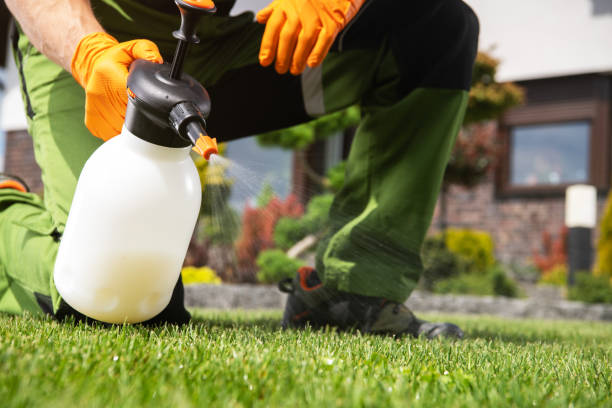 Reliable Theodore, AL Pest Control Solutions