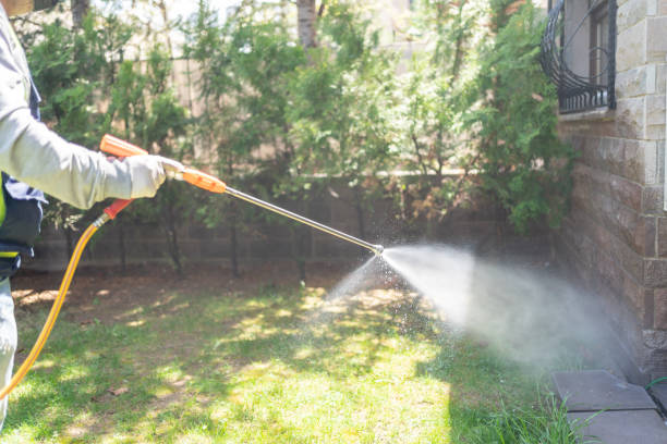 Reliable Theodore, AL Pest Control Solutions