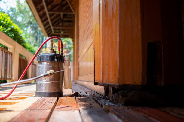 Best Affordable Pest Control Services  in Theodore, AL