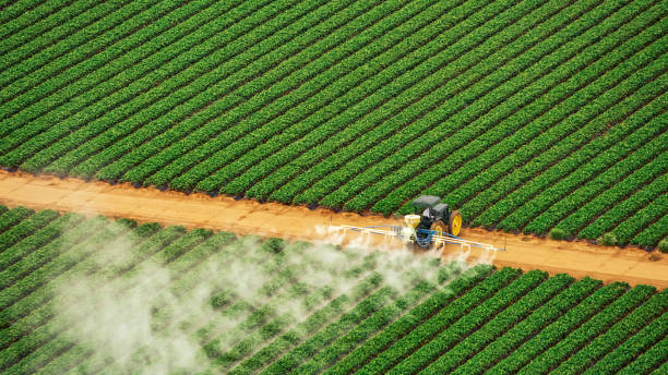 Best Pest Control for Businesses  in Theodore, AL
