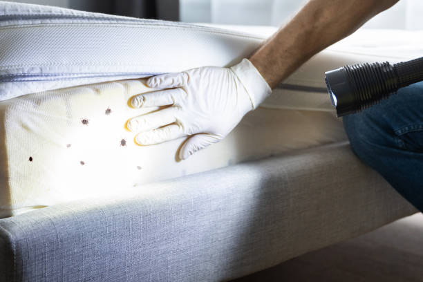 Best Pest Control Near Me in Theodore, AL