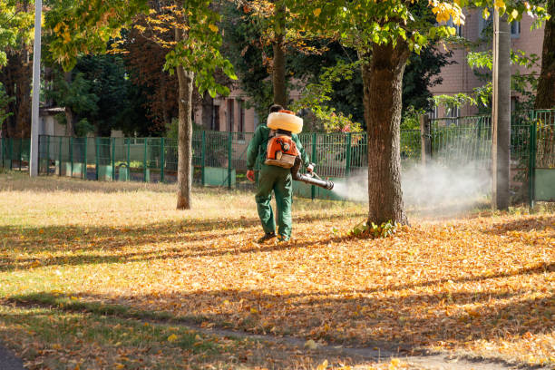 Best Pest Prevention Services  in Theodore, AL